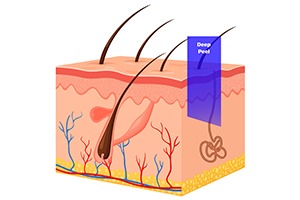 Deep Peels